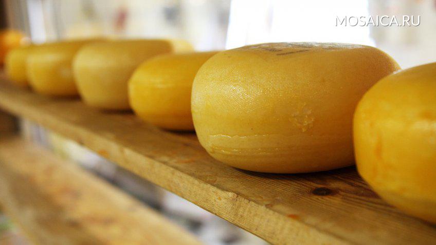 Потребление сыров в РФ снизилось из-за качества продукции — специалисты